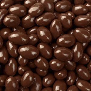 Dark Chocolate Covered Almonds
