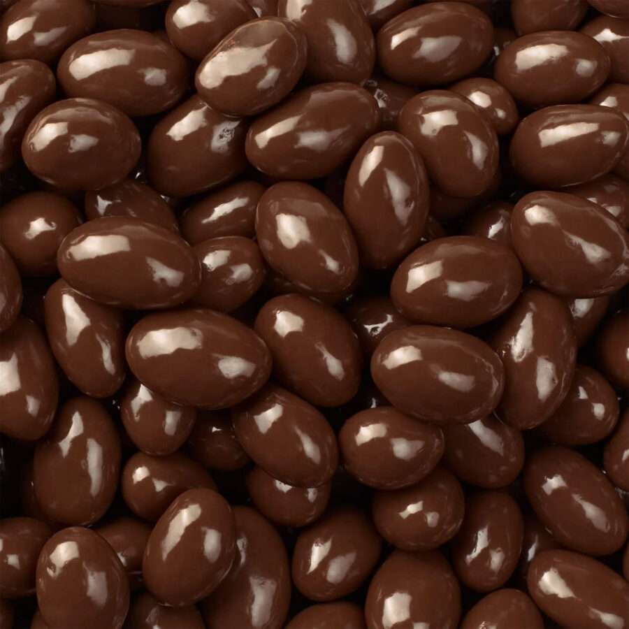 Dark Chocolate Covered Almonds